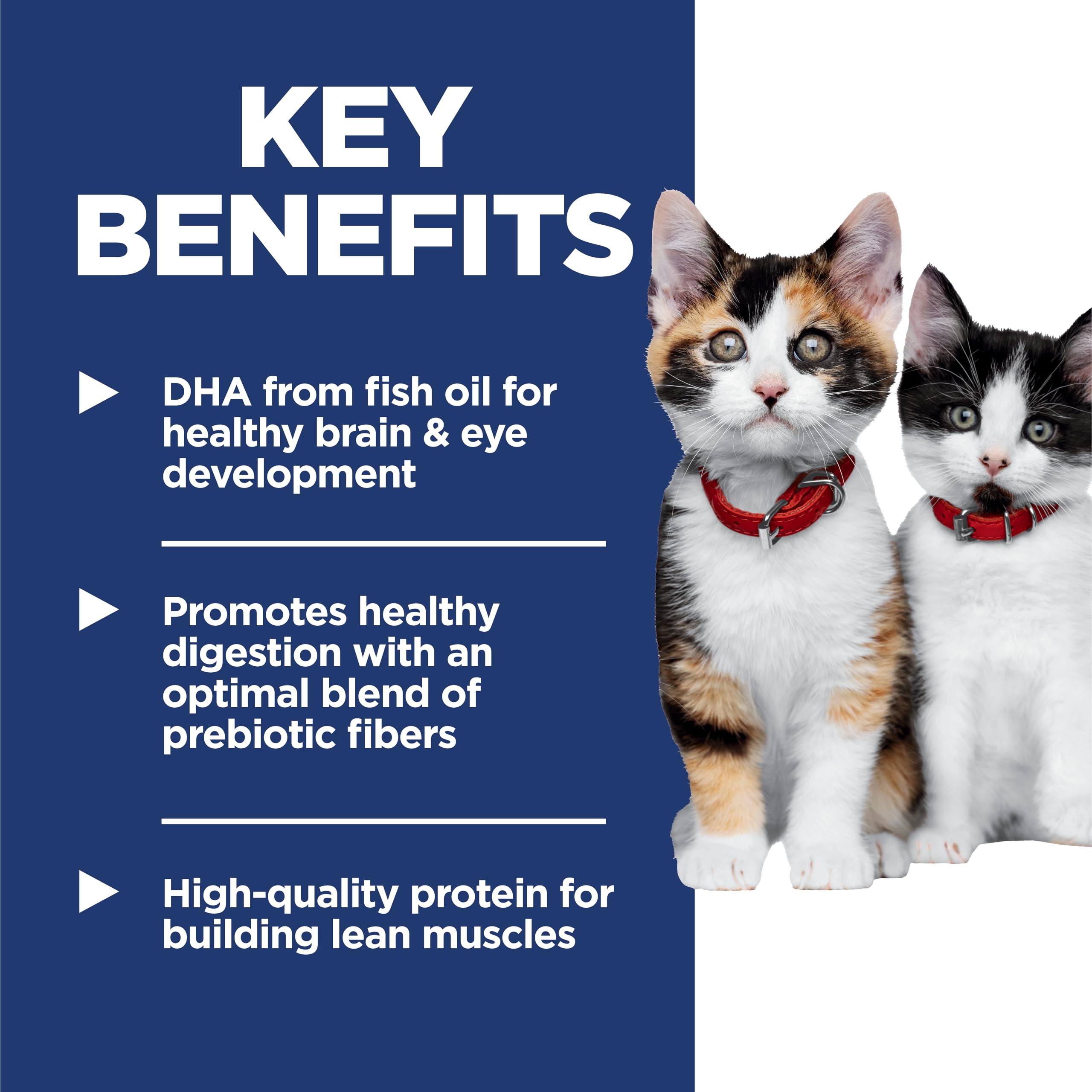 Hill's Science Diet prebióticos para digestión equilibrada