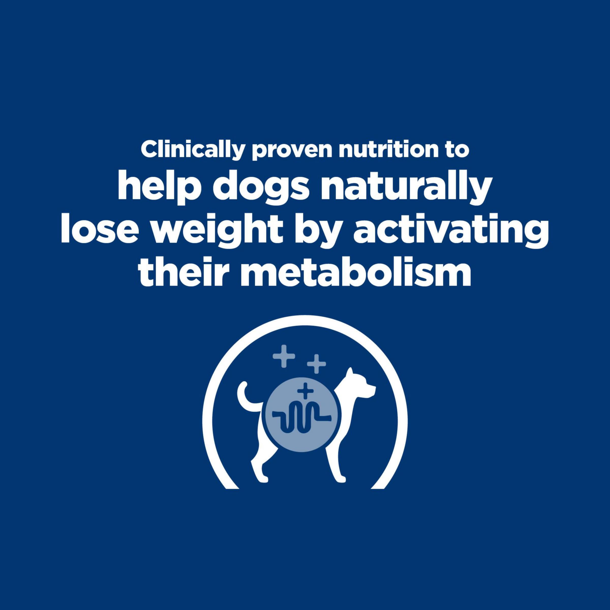 Hill's Metabolic kibble primer plano, fibra que ayuda a la saciedad entre comidas.