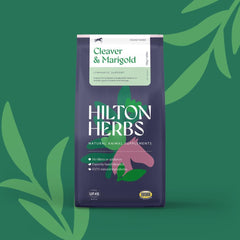 Hilton Herbs Cleavers Marigold: caballo en establo recibiendo cuidado y reposo