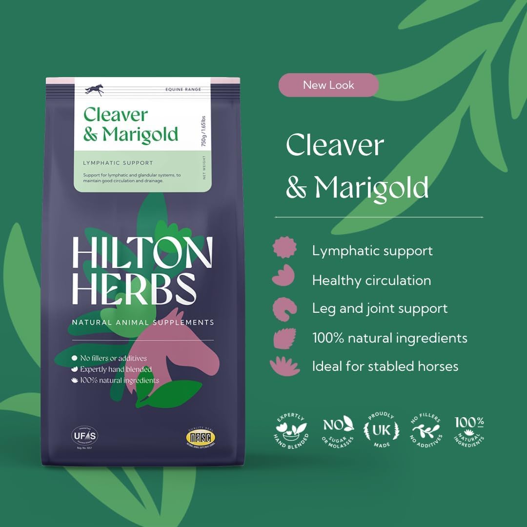 Hilton Herbs Cleavers Marigold: apoyo para piernas hinchadas durante el reposo