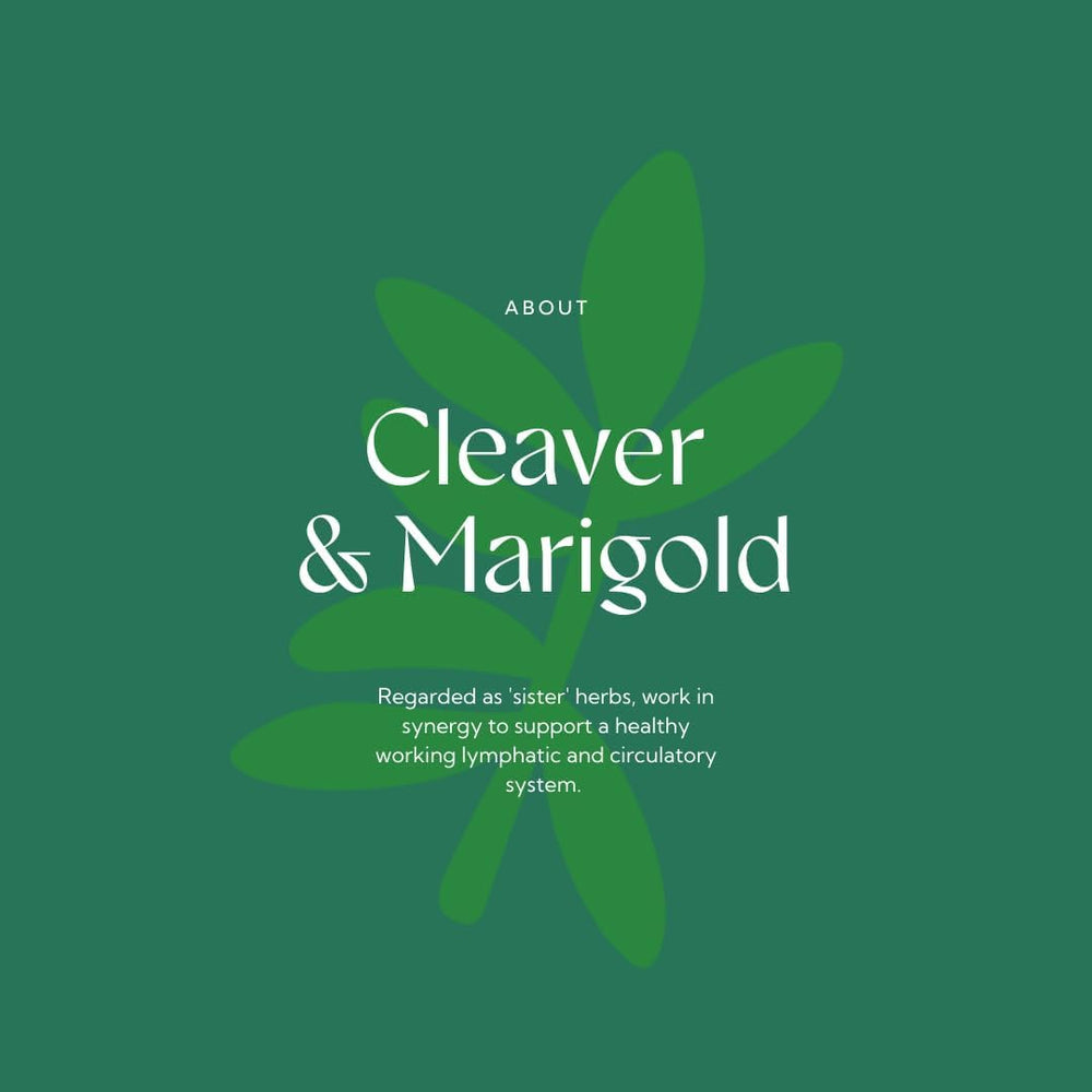 Hilton Herbs Cleavers Marigold: uso con vendas en establo para apoyo suave