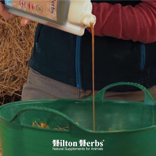 Hilton Herbs Cushx, mezcla fácil con comida para conveniencia.
