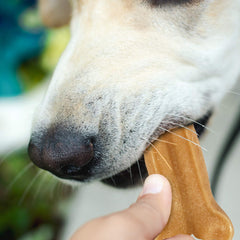 Himalayan Dog Chew Bone Grande, ingredientes naturales sin lactosa ni gluten.