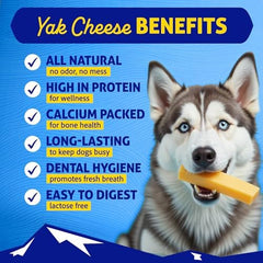 Chuche Himalayan Dog Chew Queso Yak, sabor auténtico para masticadores.