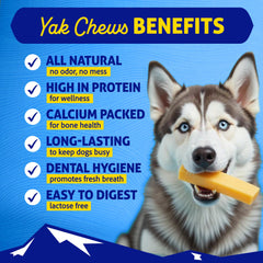 Himalayan Dog Chew con sabor pollo, snack proteico para perros