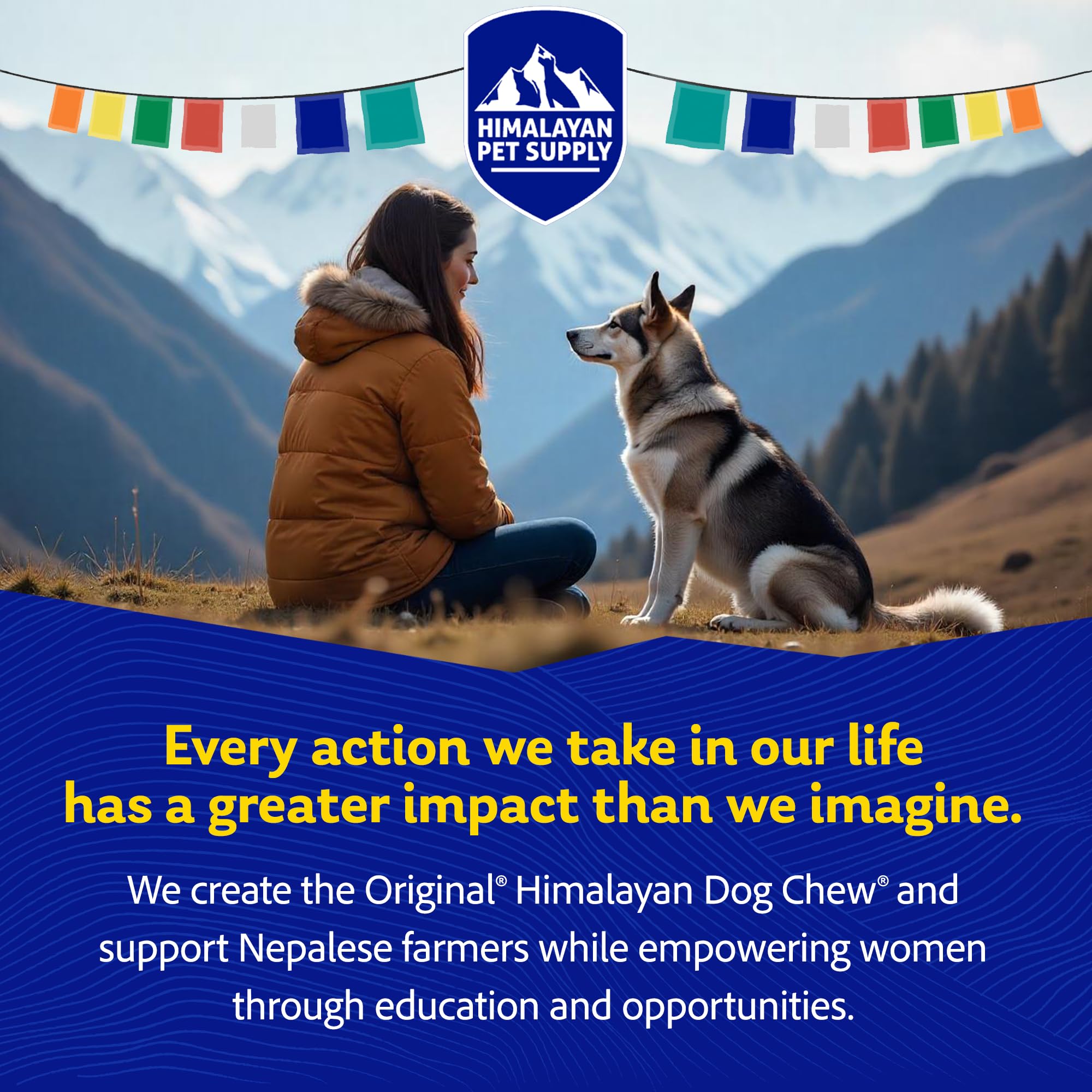 Himalayan Dog Chew Sans Lactose — friandise adaptée en douceur.