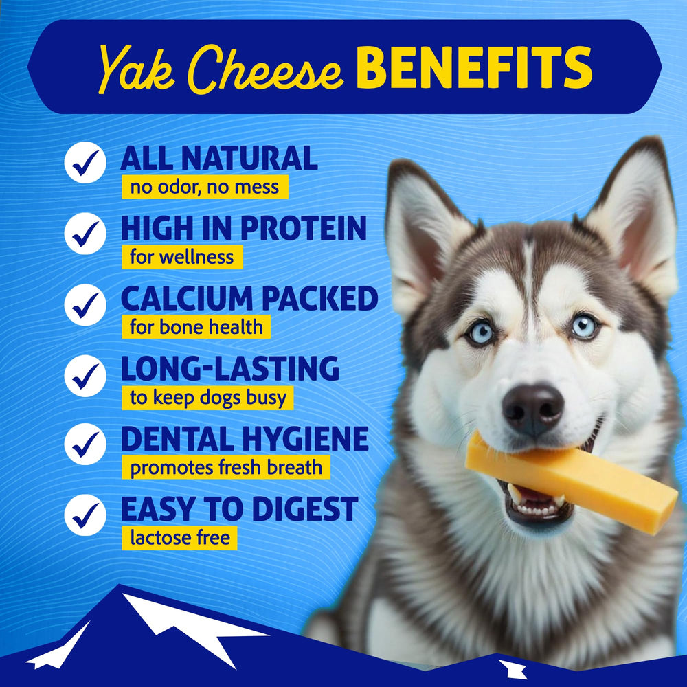 Himalayan Dog Chew Saveur poulet — friandise savoureuse pour chiens actifs.