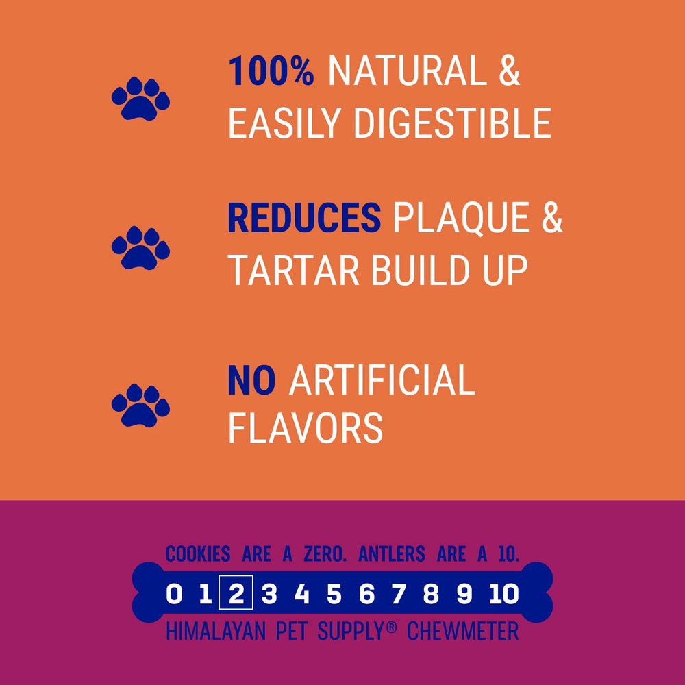 CHURRO sin gluten de Himalayan Dog Chew, snack seguro