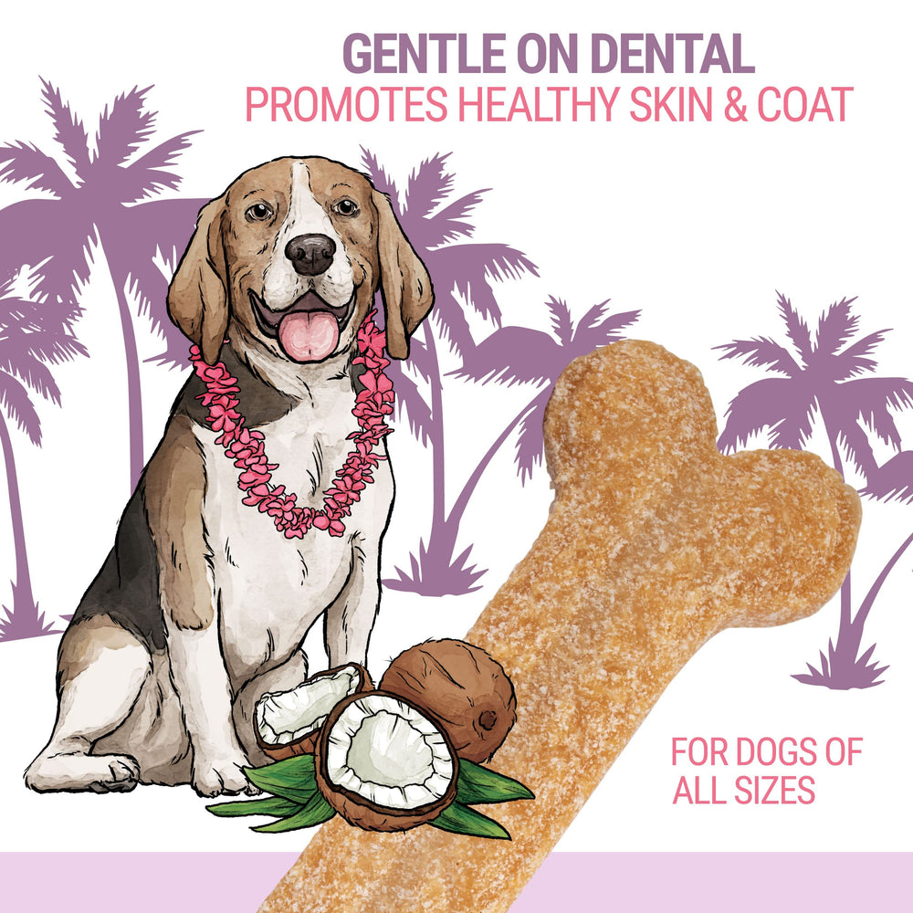 Himalayan Dog Chew sin-lactosa: opción apta para perros sensibles a la lactosa.