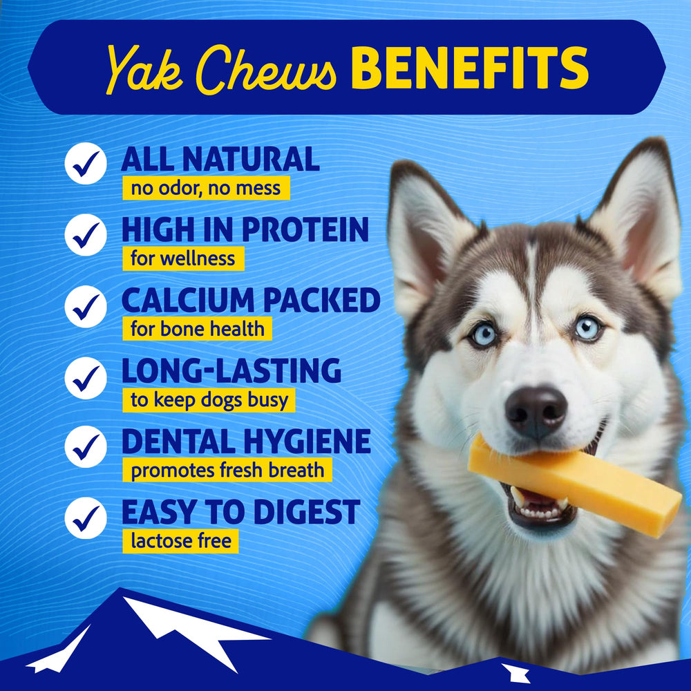 Himalayan: opción sin lactosa con queso yak para perros