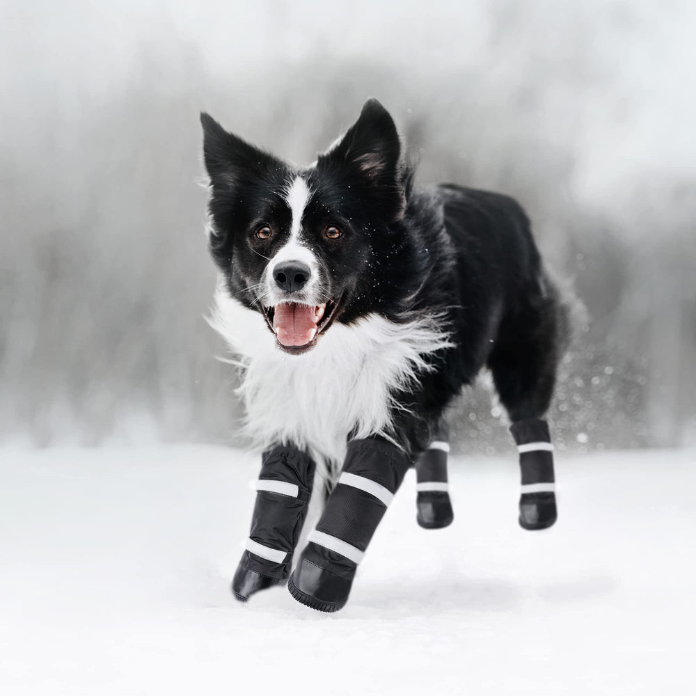 Juego completo Hipaw de cuatro botas para las patas durante paseos.