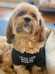 HipGirl camiseta para perro pequeño detalle suave, perfecto para sesiones de fotos.