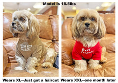 HipGirl camiseta para perro pequeño fácil de poner para vestir rápido.