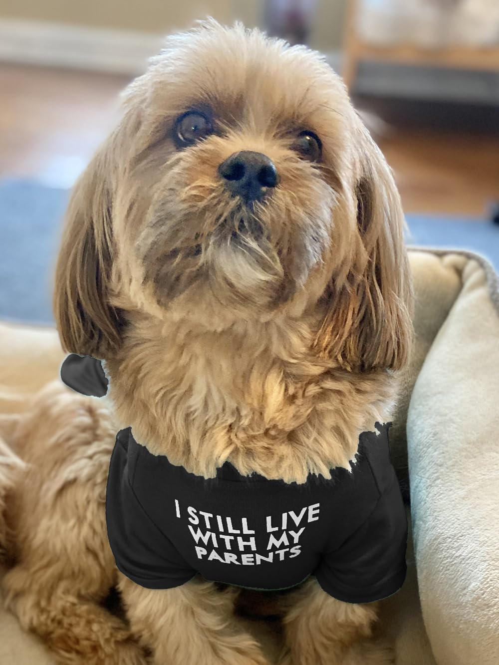 Ropa canina HipGirl con tela cómoda y duradera para uso diario.
