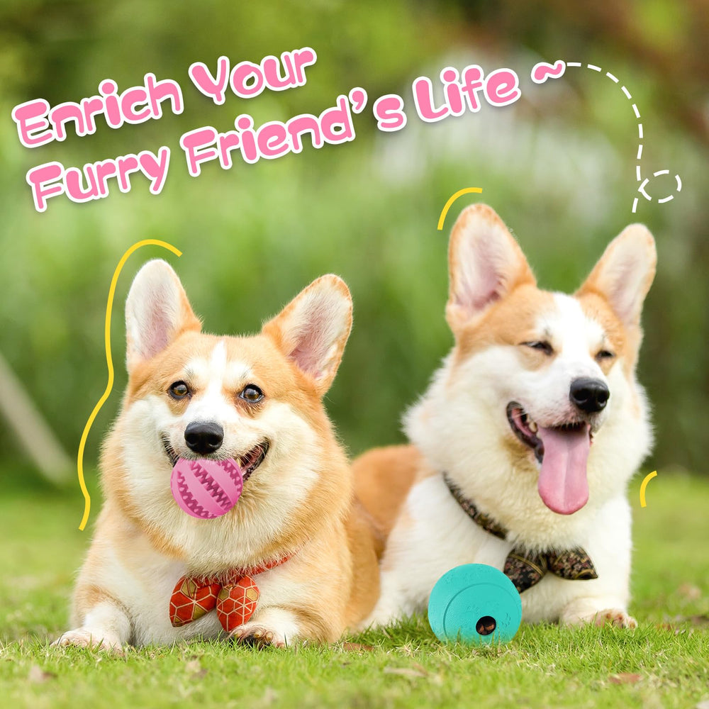 HIPPIH jouet interactif activité: stimule l’intelligence et le lien humain-chien.