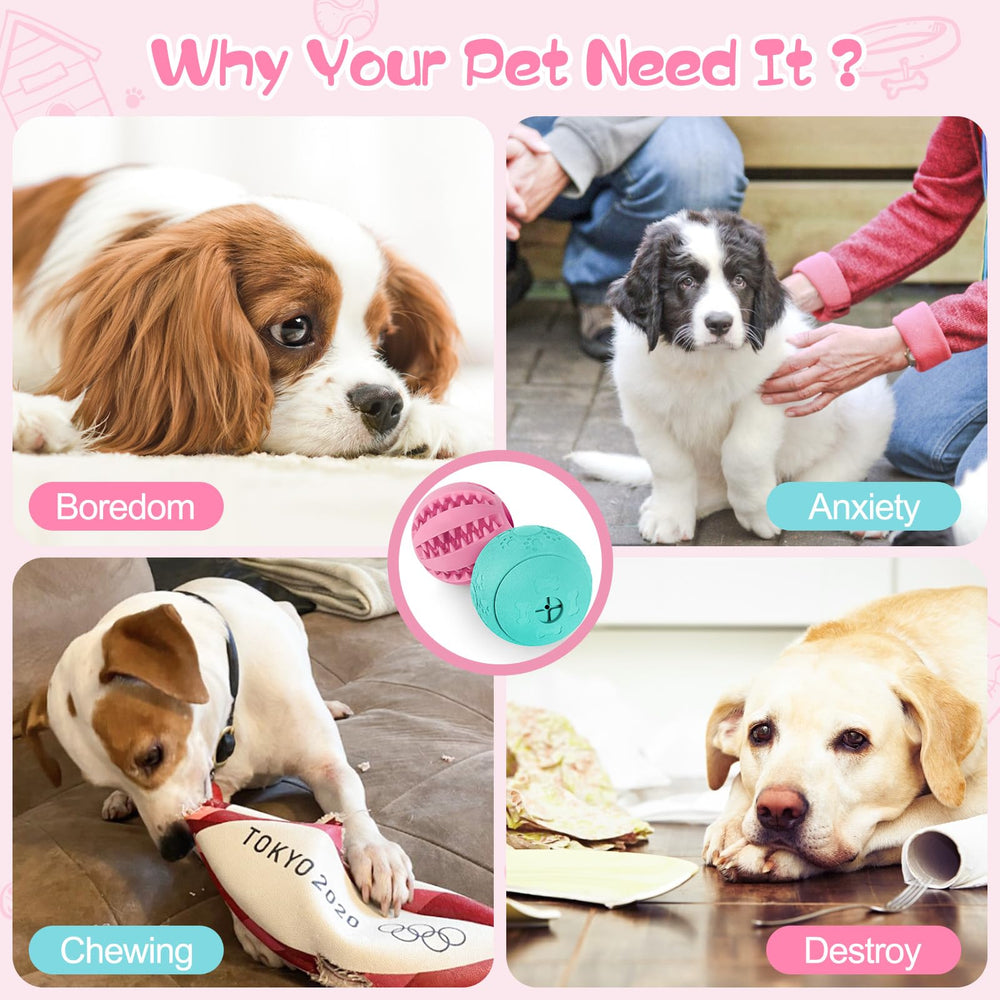 HIPPIH jouet puzzle interaction-chien: engagement et jeu ludique avec le maître.