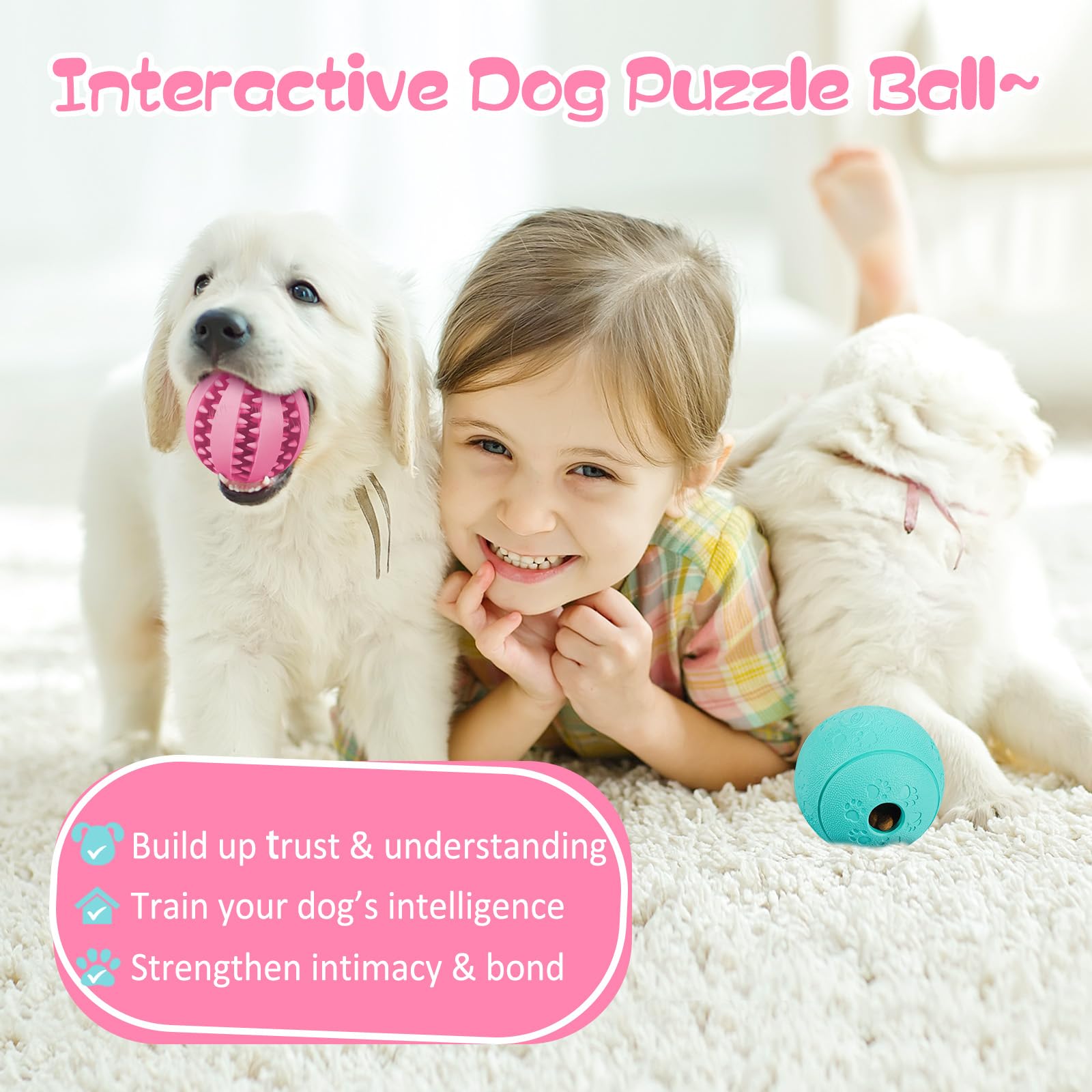 HIPPIH puzzle stimulation mentale grande: défi mental pour chiens actifs.