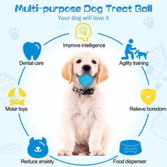 HIPPIH puzzle pequeño: perfecto para perros medianos, mejora concentración