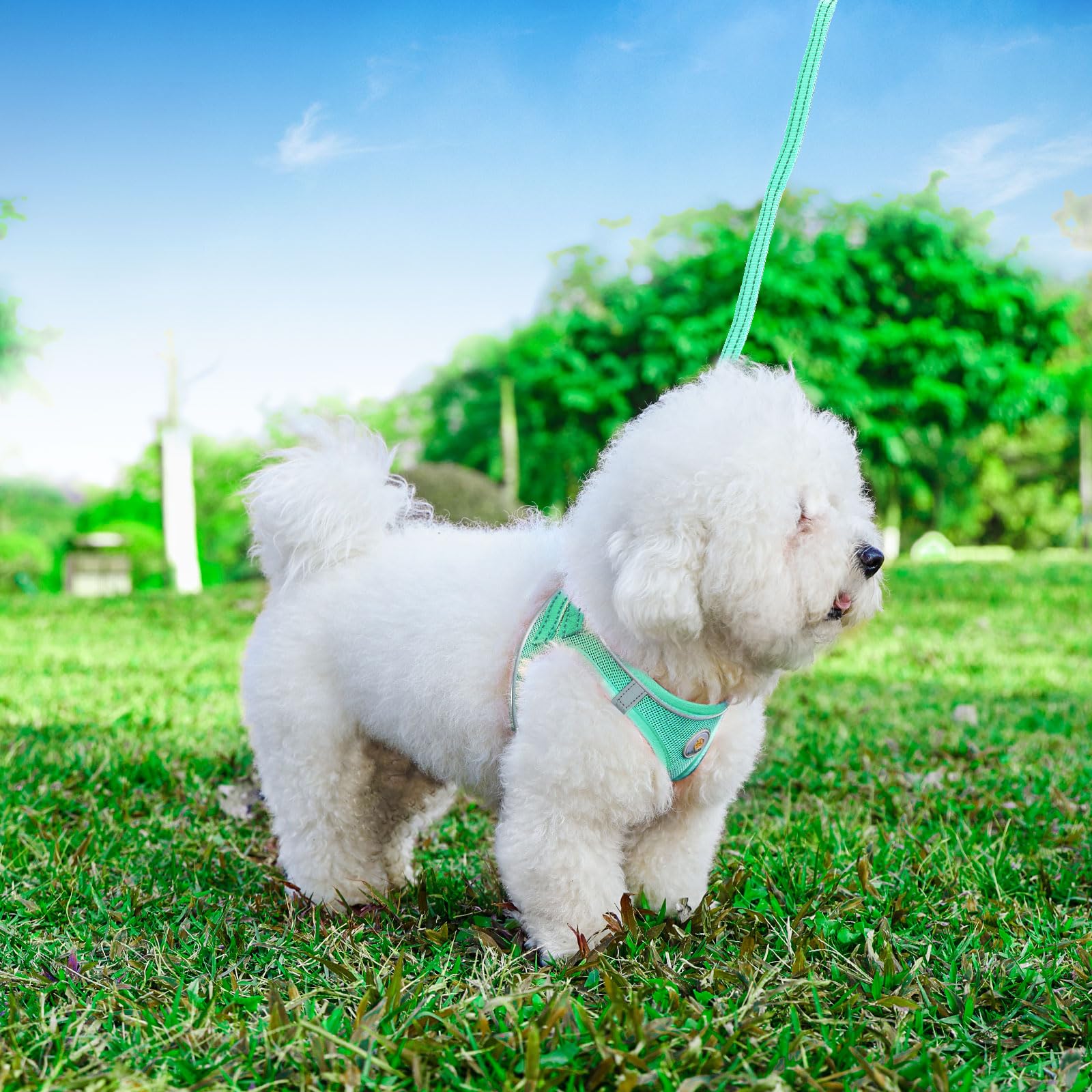 Hipubby arnés fácil de colocar para paseos y entrenamiento diario.