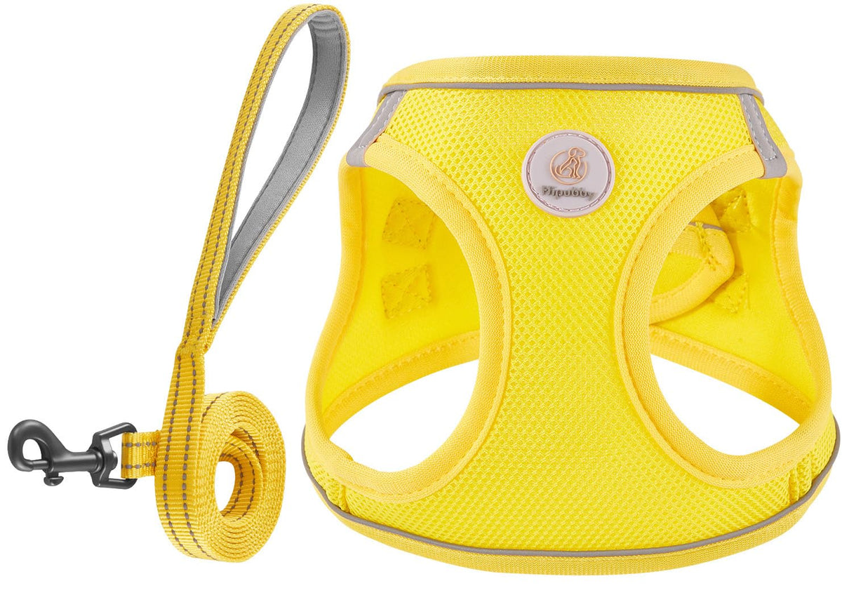Arnés Hipubby y correa amarillo con ajuste perfecto para paseos diarios.