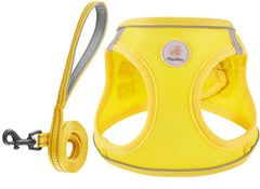Arnés Hipubby y correa amarillo con ajuste perfecto para paseos diarios.