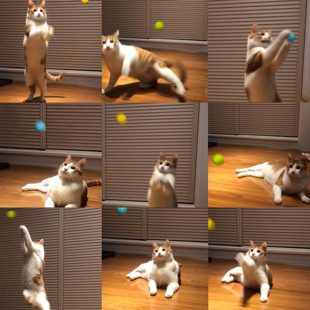Hi Purr bola de fieltro verde para perseguir y ejercitarse.