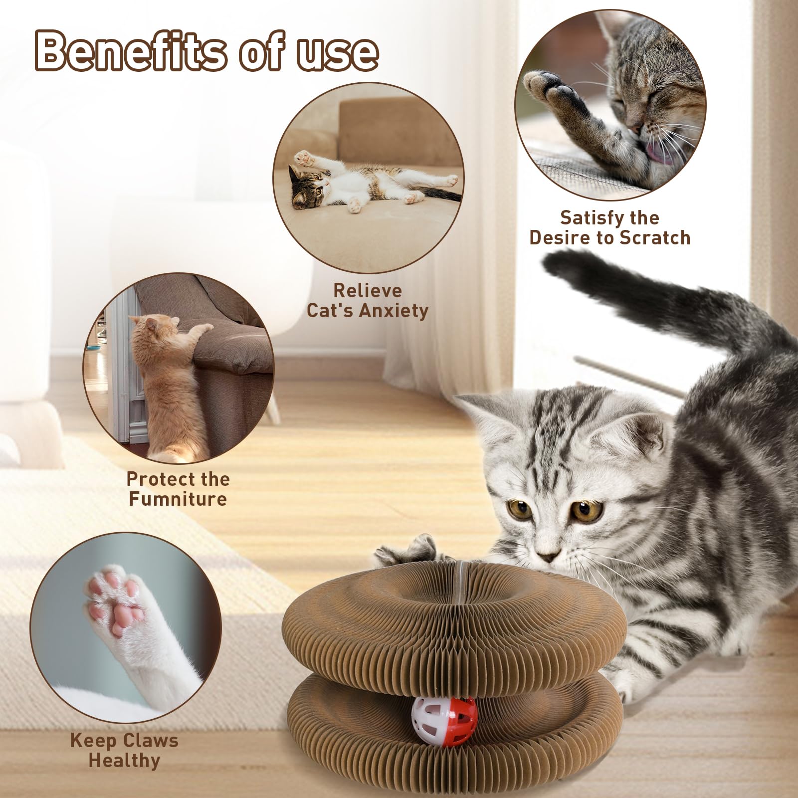 HivaolJoy Kitty Curls: uso diario en casa para entretenimiento interactivo