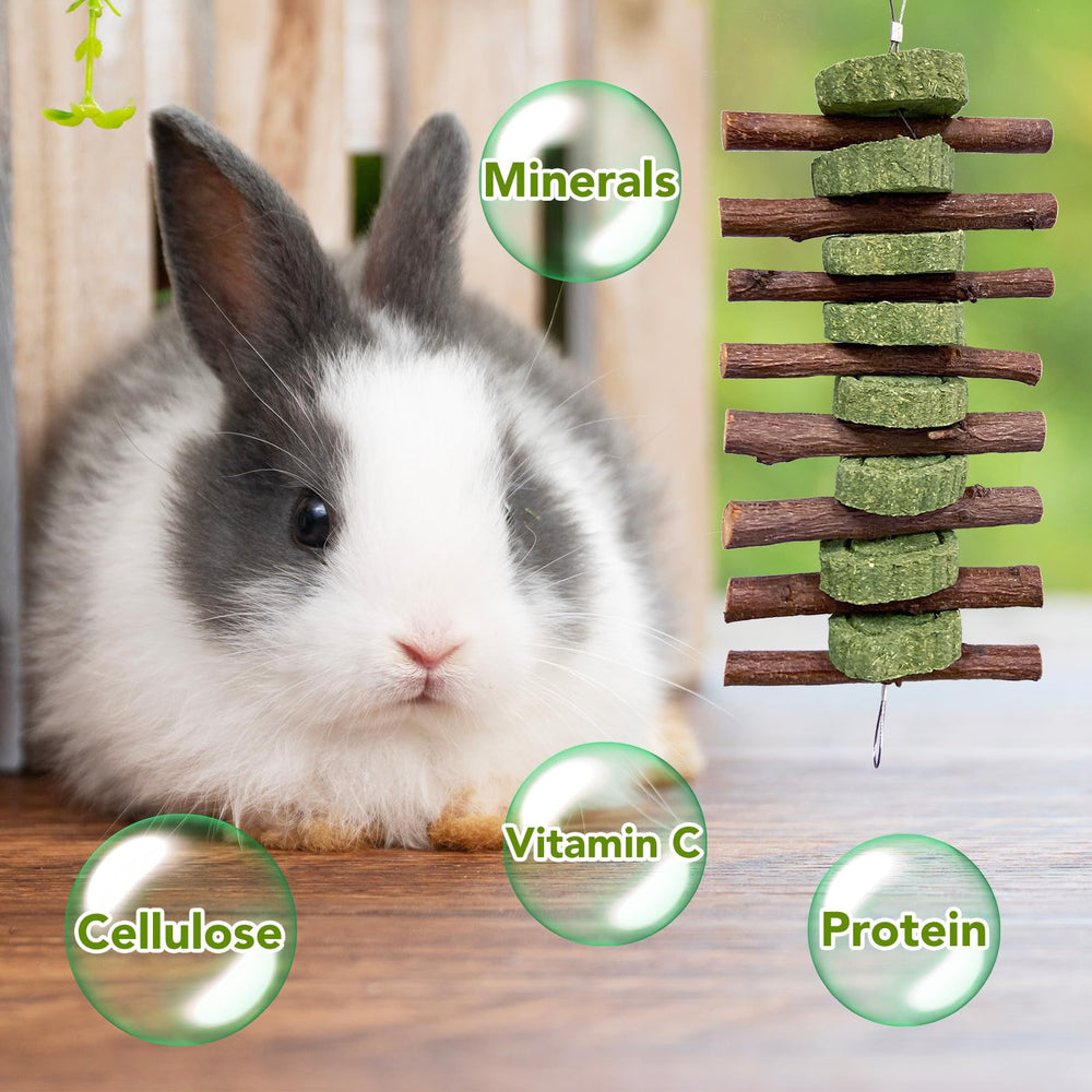 Hiwzitar juguete tamaño ideal para conejos domésticos