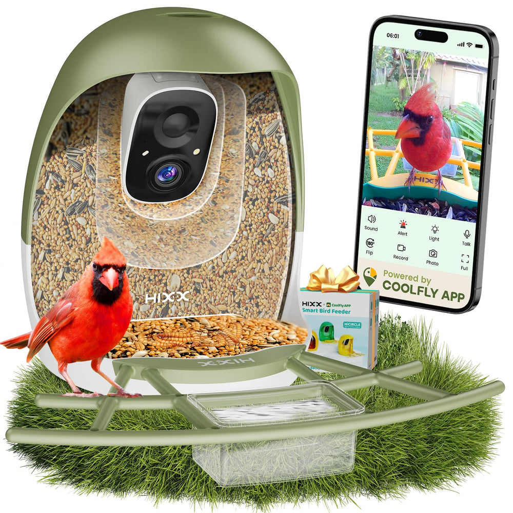 HIXX comedero-pajaros-camara ofrece vista en vivo para observar aves
