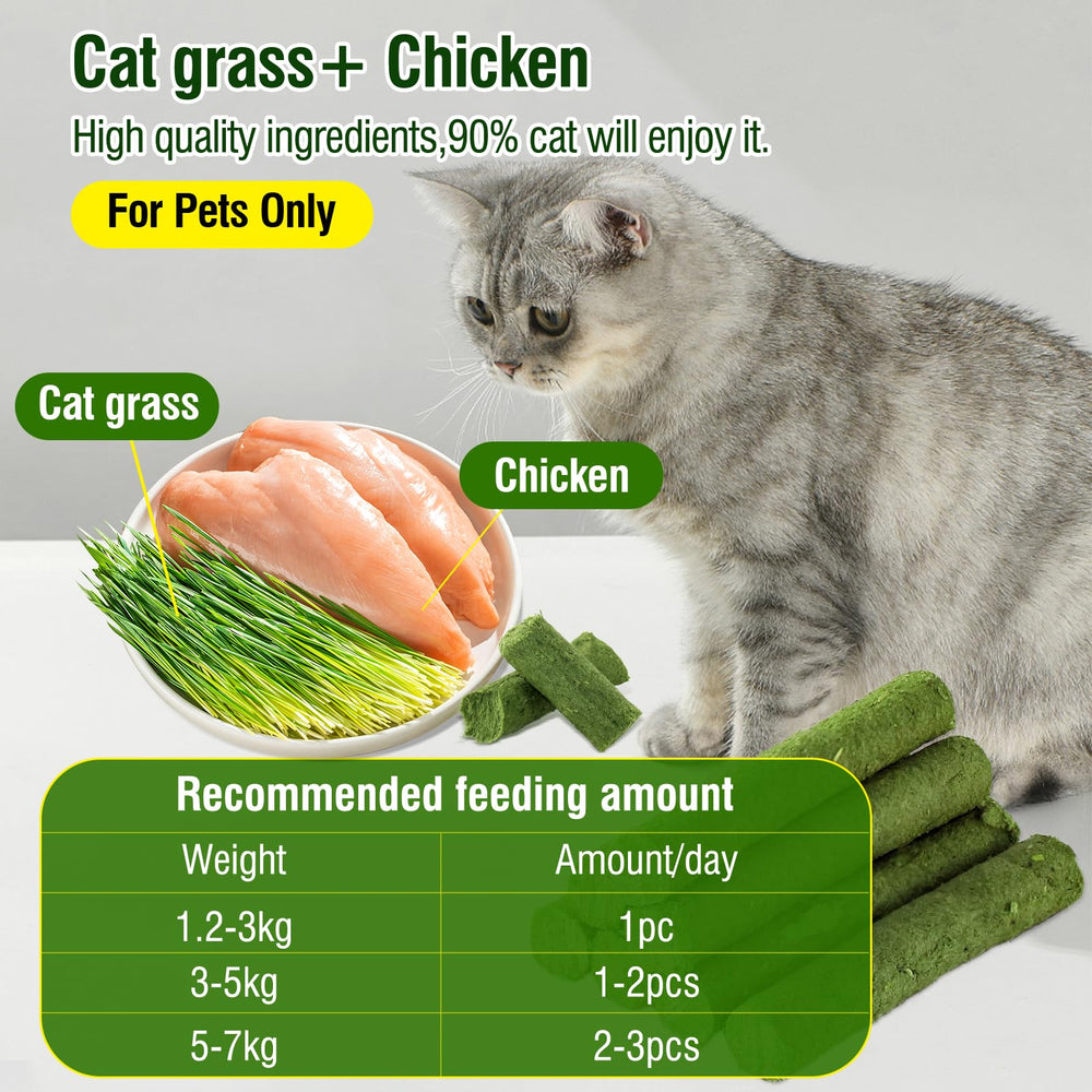 Bastón masticable HKpetie con hierba, textura crujiente para gatos
