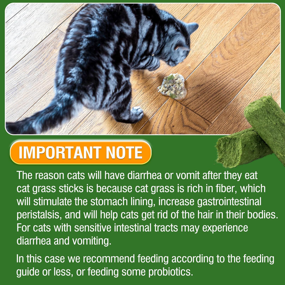 Instrucciones de uso HKpetie para gatos