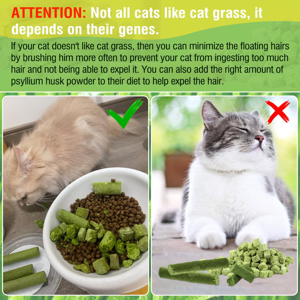 HKPetie sabor pollo real atrae a gatos y mejora la experiencia de recompensa.
