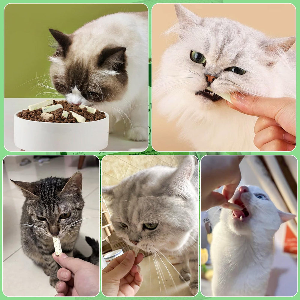 Snack diario para entrenamiento de gatos, experiencia sensorial.