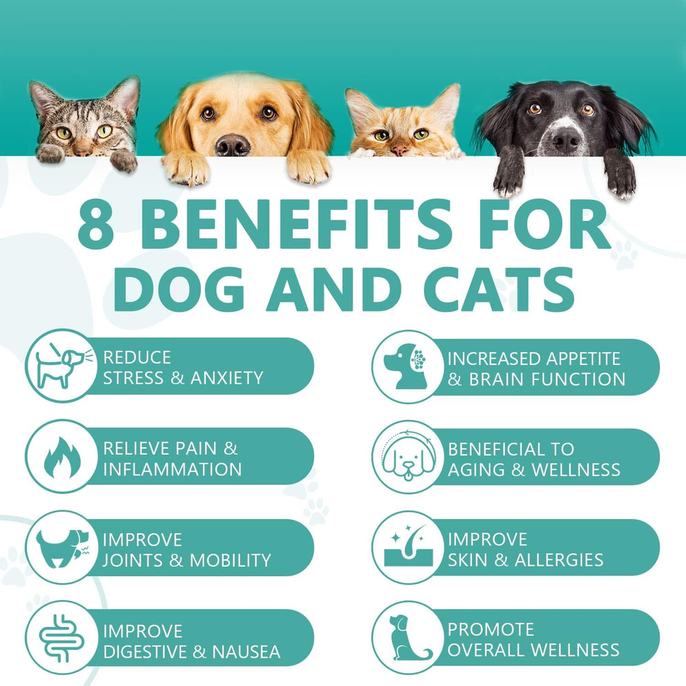HMone aceite natural para mascotas, fácil de mezclar con comida.