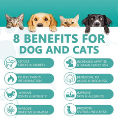 HMone aceite natural para mascotas, fácil de mezclar con comida.