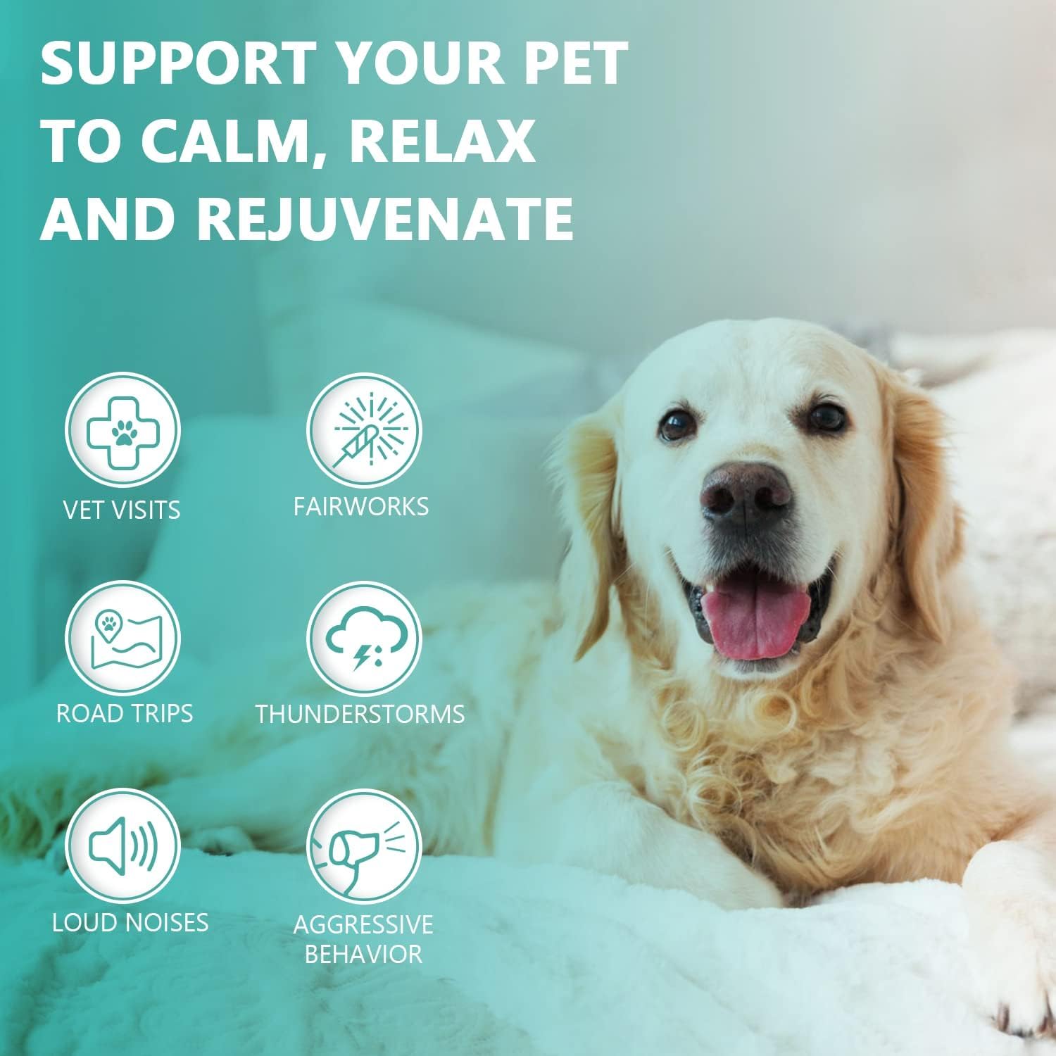 HMone envase libre de crueldad y sin xilitol para perros y gatos.