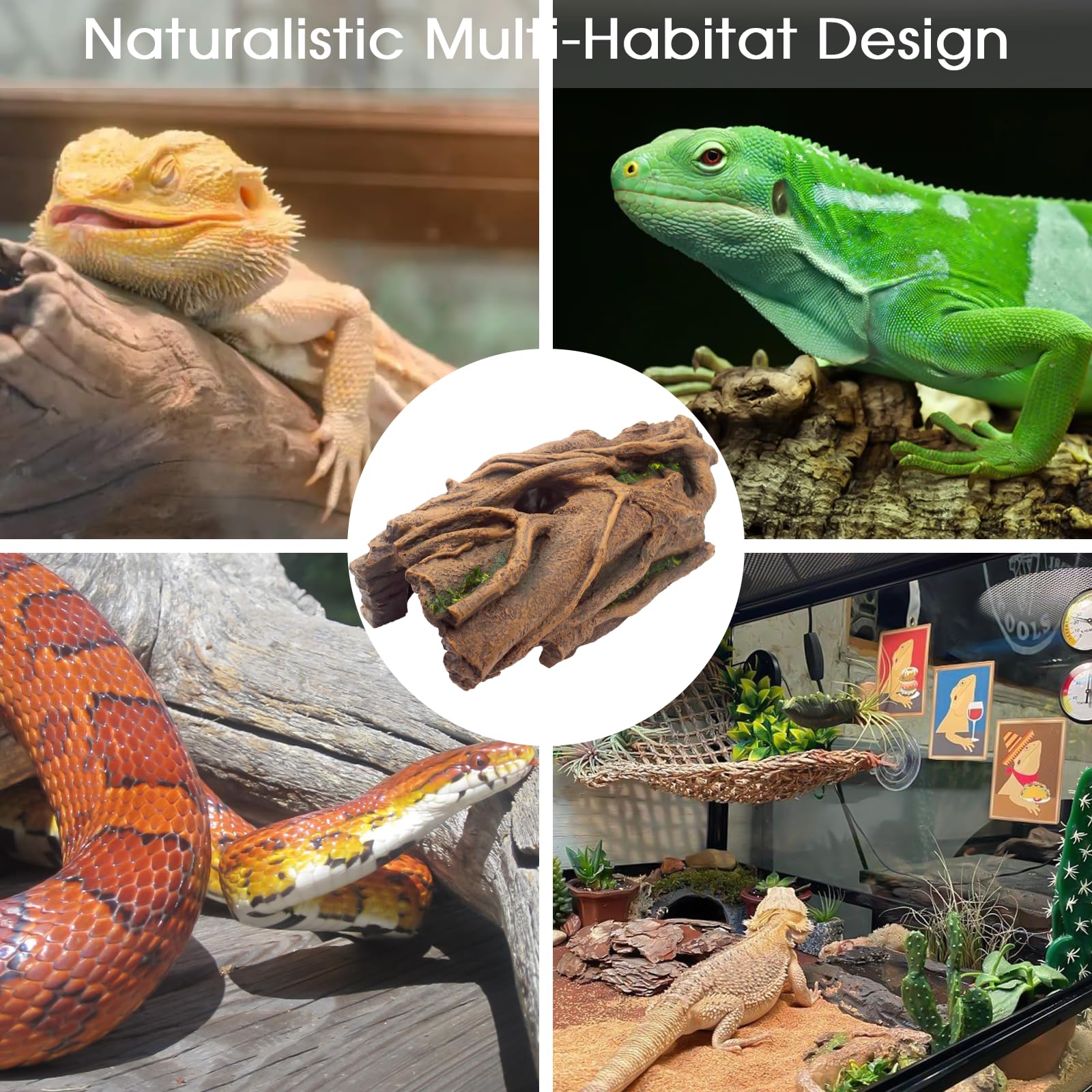Hoeine decoración multi-habitat para acuario o terrario