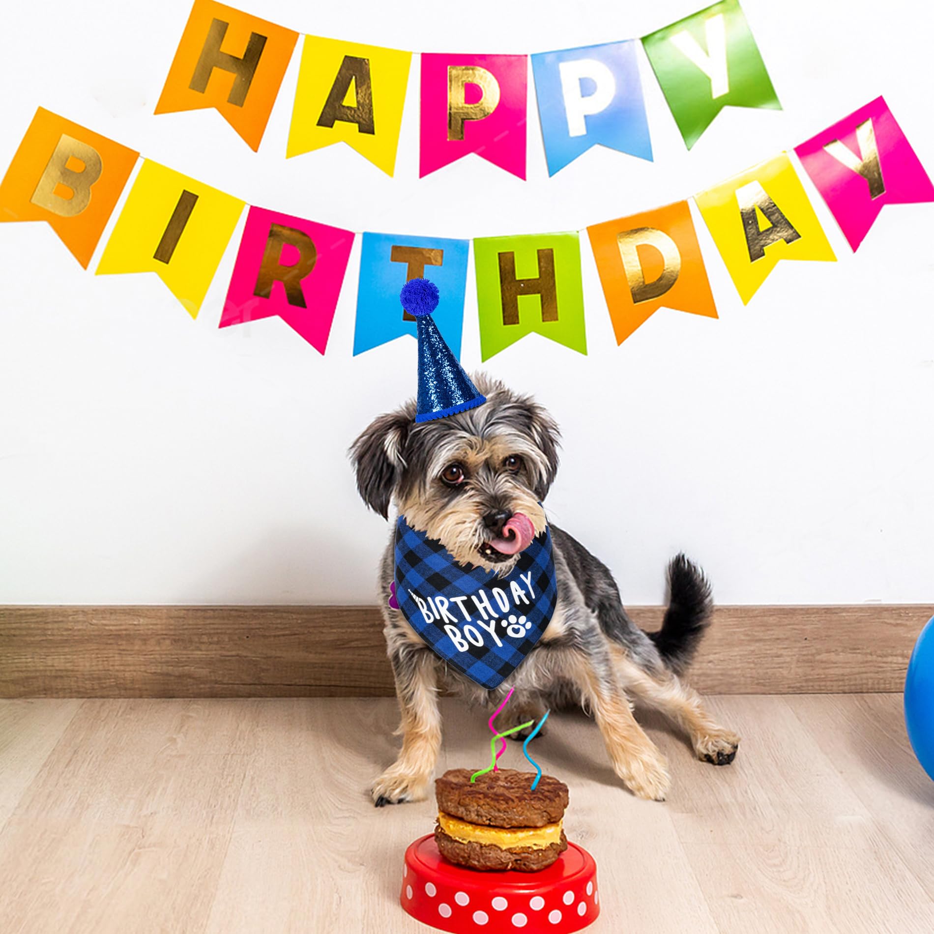 Accesorios de fiesta Hoewina para cumpleaños de perro, aportan ambiente festivo