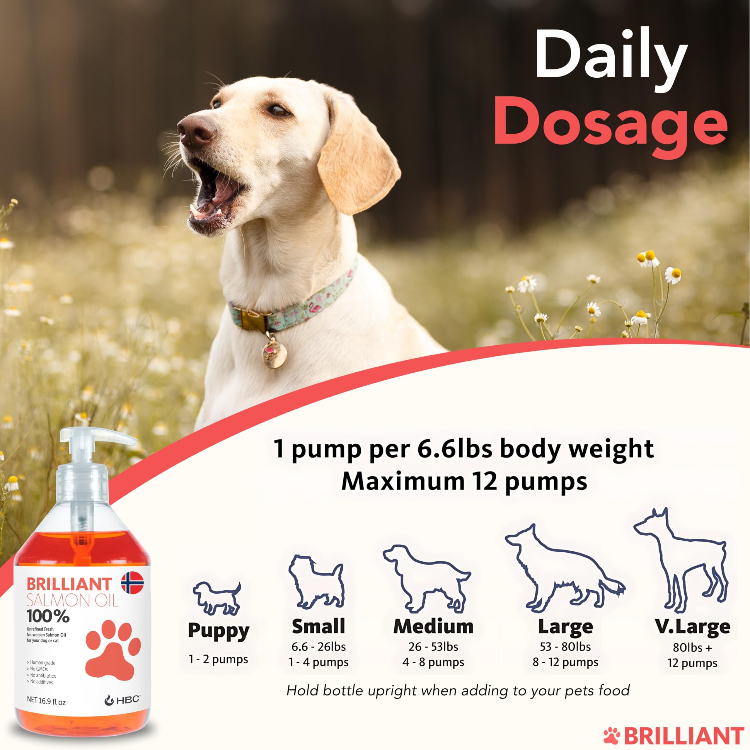 Color natural naranja Hofseth BioCare aceite salmón para mascotas.