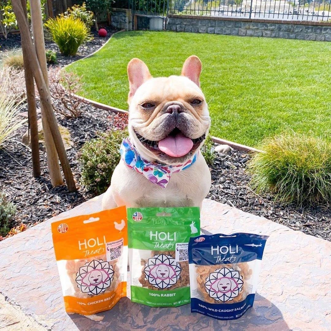 Holi: uso diario para hogares con varias mascotas.