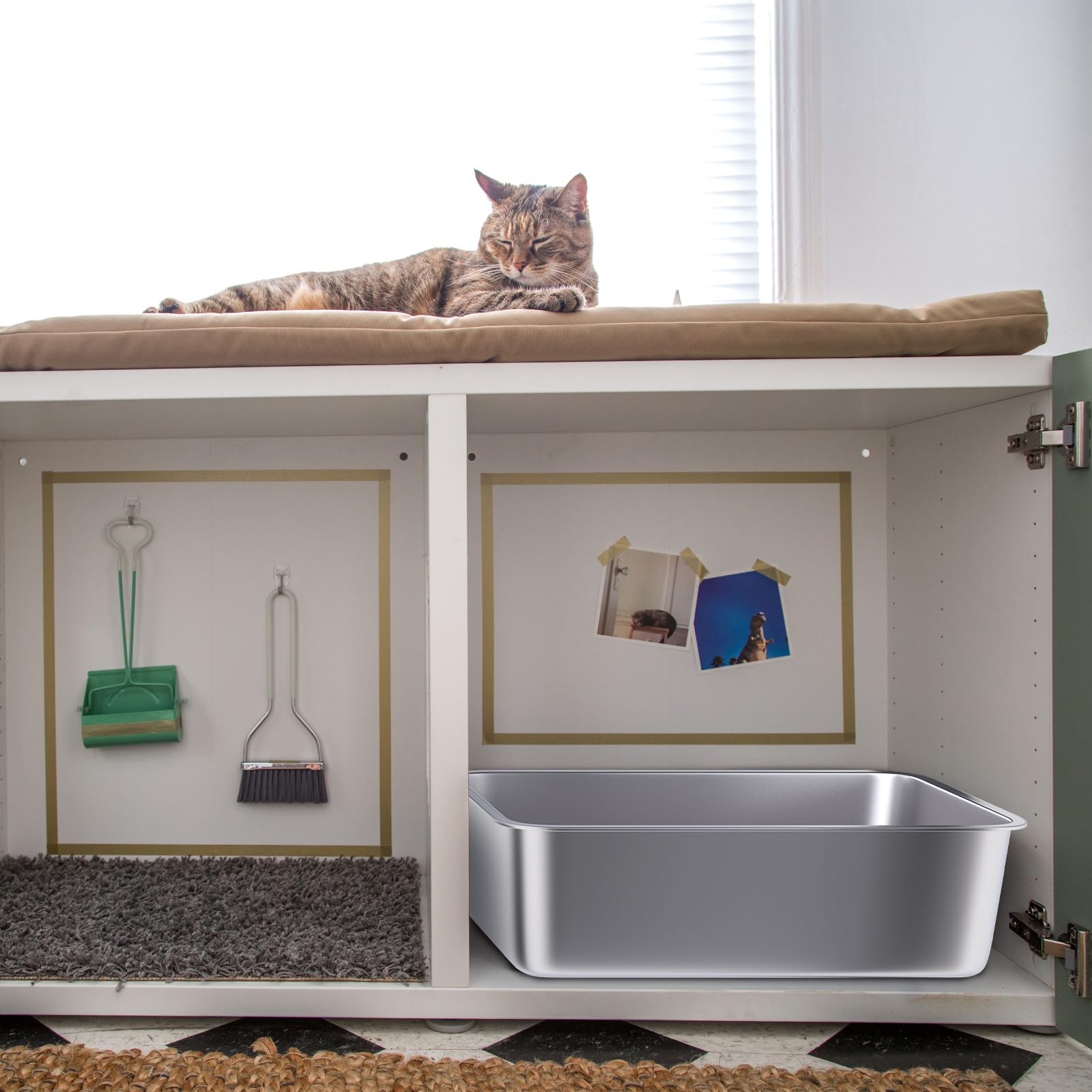 Holintan altura suficiente para gatos de hasta 7 kg.