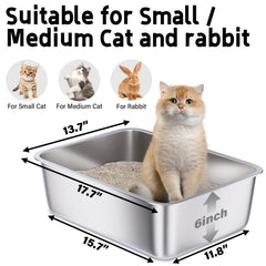 Holintan bandeja acero inoxidable antiolor para gatos, ideal para hogares con varias mascotas.