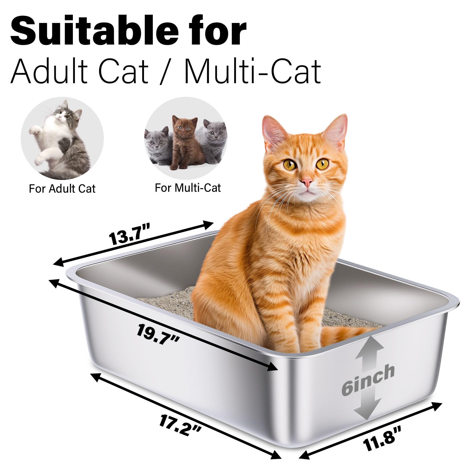 Holintan caja de arena en acero inoxidable, tamaño grande para gatos y mayor estabilidad.