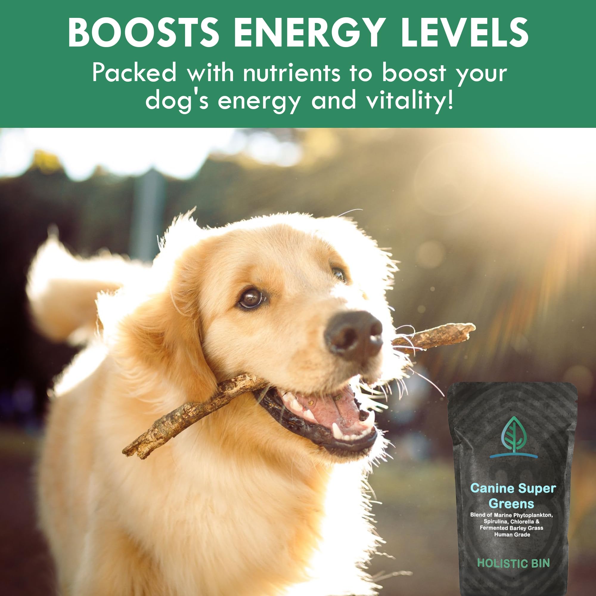 Holistic Bin Chien Mélange Ingrédients Naturels: fibres et antioxydants