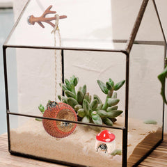 Hollima Anlter accesorios para arañas saltarinas, diseño seguro y funcional.