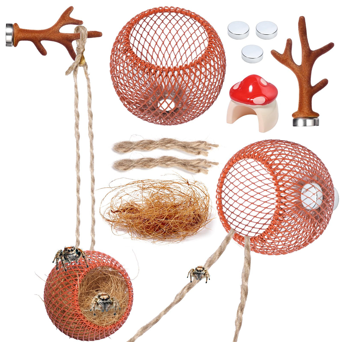 Hollima Anlter habitat para arañas saltarinas con decoración hongo, descanso seguro y visual atractivo.
