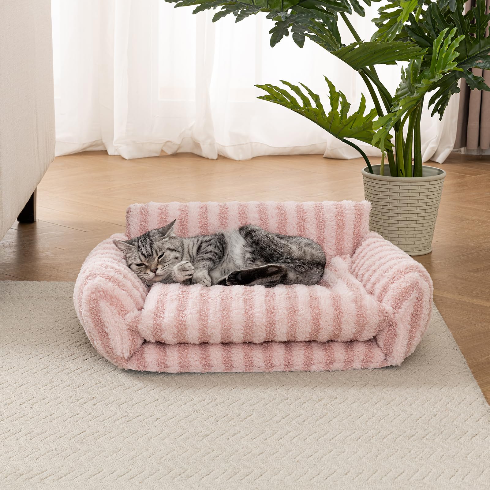 Hollypet cama gato tamaño-xs: tamaño compacto para gatos pequeños.