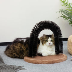 Gato usando arco para autogrooming y juego con Hollypet.