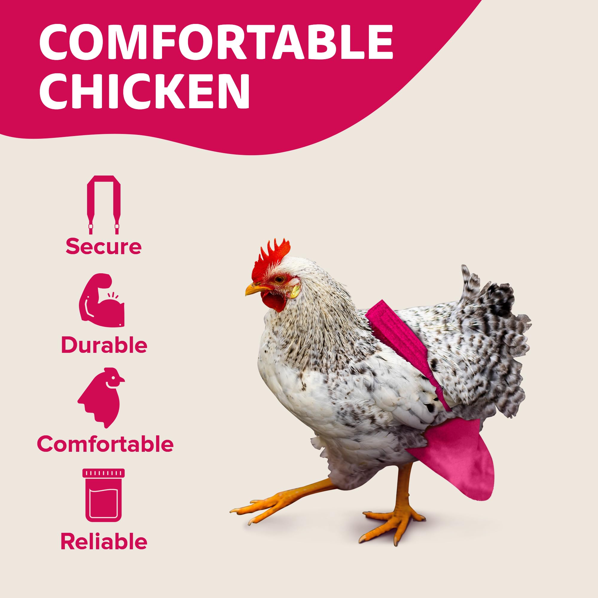 Holster Pañal Gallina Anilla D para Correa: exploraciones seguras.