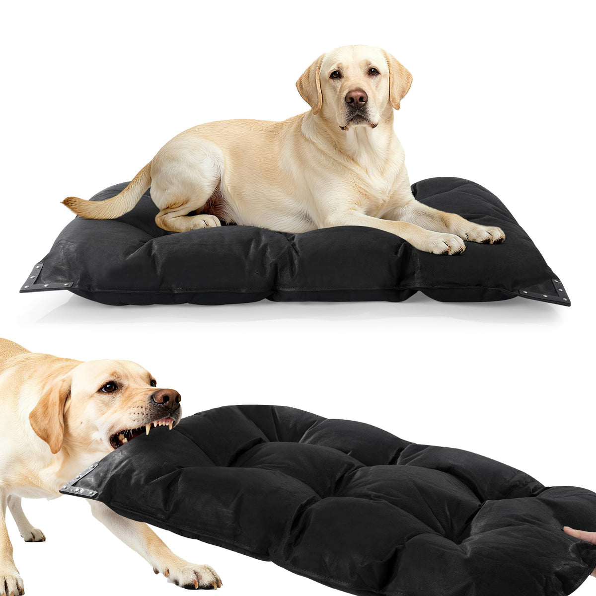 Cama HOMBYS con remaches metalicos en bordes para perros agresivos.